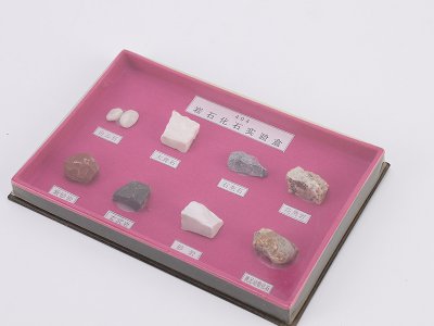 厂家直供小学初中数物理化教学器材 科学实验室设备地理地质矿石